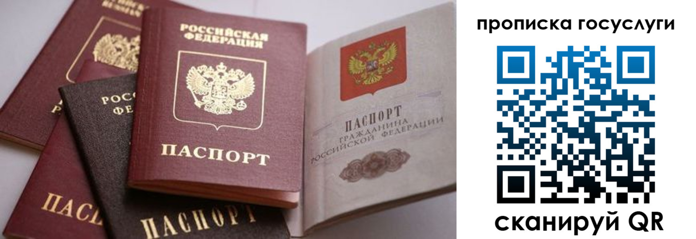 прописка иностранных граждан в Михайловке