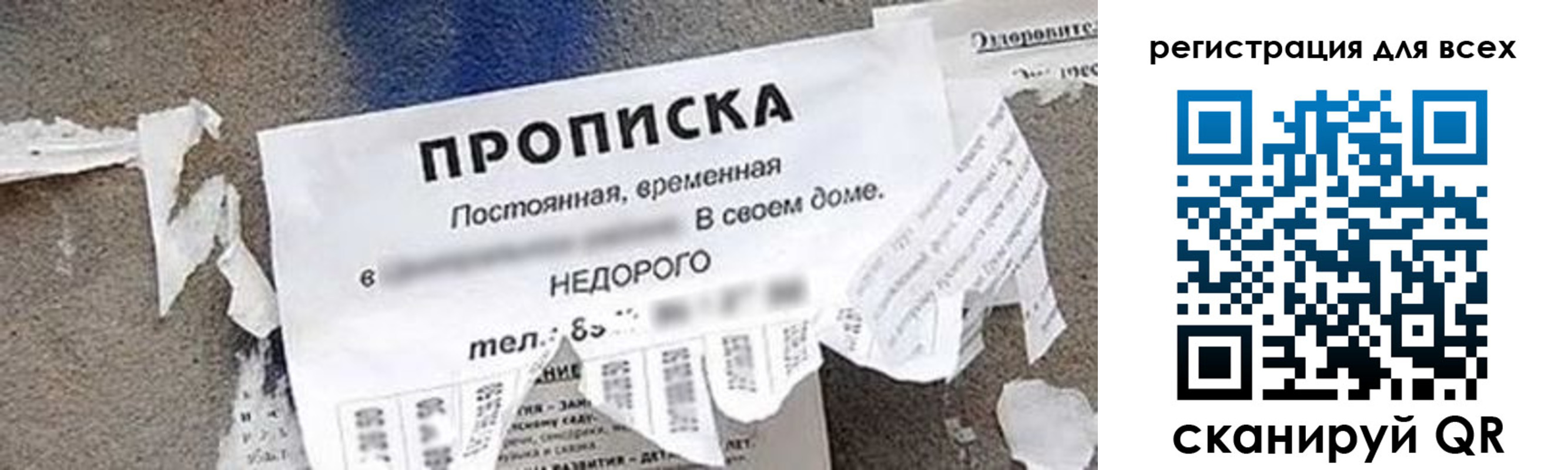 прописка поиск в Михайловке